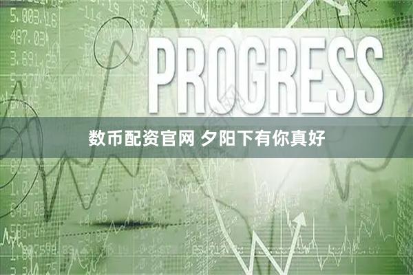 数币配资官网 夕阳下有你真好