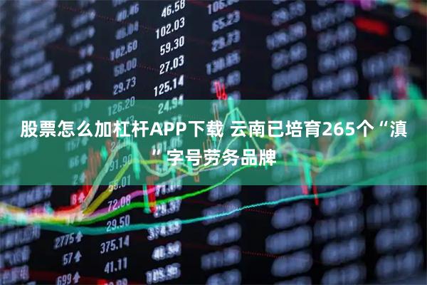 股票怎么加杠杆APP下载 云南已培育265个“滇”字号劳务品牌