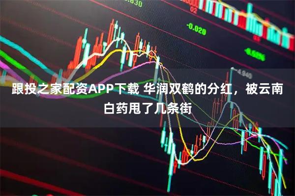 跟投之家配资APP下载 华润双鹤的分红，被云南白药甩了几条街