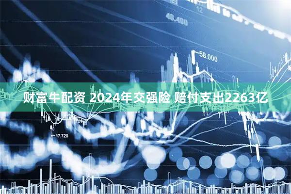 财富牛配资 2024年交强险 赔付支出2263亿