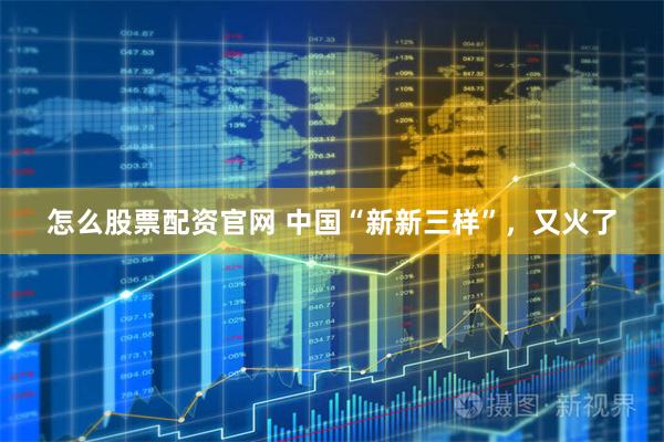 怎么股票配资官网 中国“新新三样”，又火了